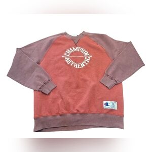 Champion Red and Purple Sweatshirt